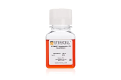 STEMdiff™ Hematopoietic - EB Basal Medium