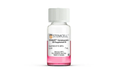 STEMdiff™ Hematopoietic - EB Supplement B