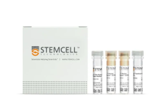 EasySep™ Non-Human Primate B Cell Isolation Kit