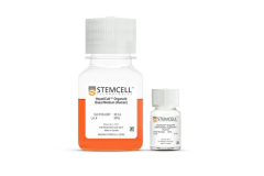 HepatiCult™ Organoid Differentiation Medium (Human)
