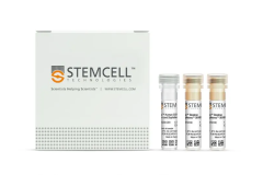 EasySep™ Extracellular Vesicle PE Positive Selection Kit