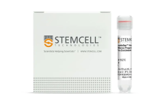 RosetteSep™ Human Bone Marrow Progenitor Cell Pre-Enrichment Cocktail