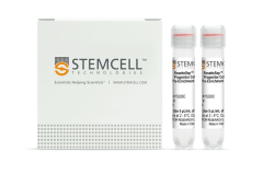 RosetteSep™ Human Progenitor Cell Basic Pre-Enrichment Kit