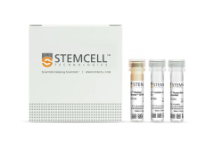 EasySep™ Human Naïve B Cell Isolation Kit