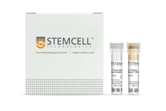 EasySep™ Human Naïve CD4+ T Cell Isolation Kit II
