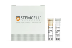 EasySep™ Human ILC2 Enrichment Kit