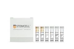 EasySep™ Mouse CD4+CD25+ Regulatory T Cell Isolation Kit II