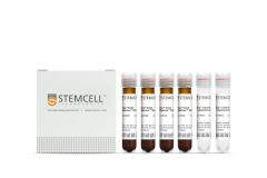 EasySep™ Direct Human T Cell Isolation Kit