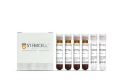 EasySep™ Human T Cell Isolation Kit