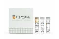 EasySep™ Mouse T Cell Isolation Kit