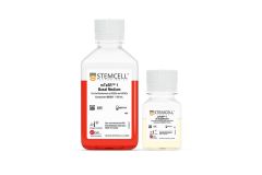 mTeSR™1