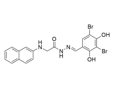 glyh - 101