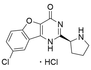 翻译:XL413