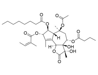 翻译:Thapsigargin