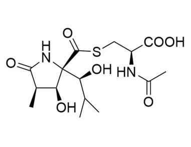 翻译:Lactacystin
