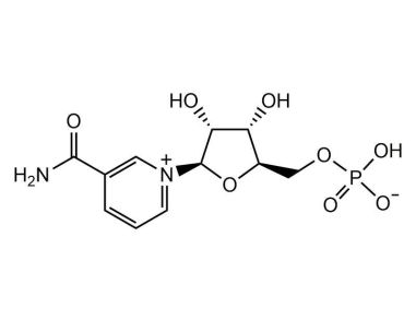 β烟酰胺单核苷酸