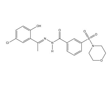 翻译:SP2509