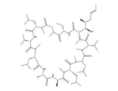 环孢菌素一个