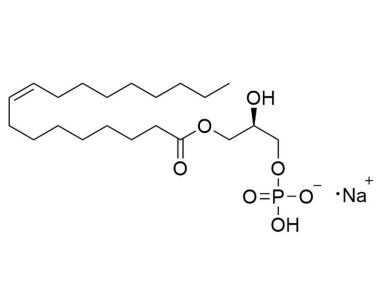 1-油酰基溶血磷脂酸（1-Oleoyl Lysophosphatidic Acid）