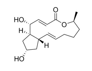布雷非德菌素A 