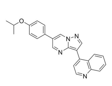 翻译:DMH1