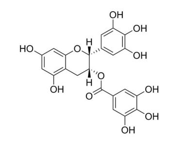 (-)儿茶素没食子酸盐