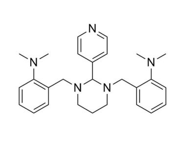 翻译:GANT61