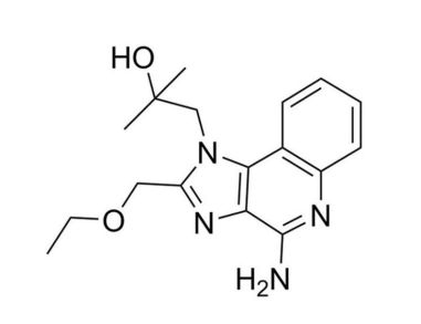 翻译:R848