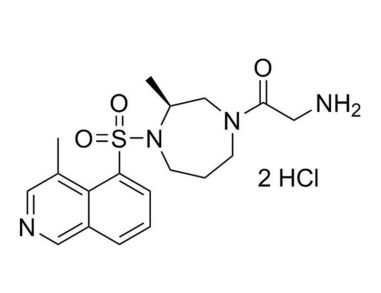 Rho激酶抑制剂IV