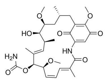 翻译:Geldanamycin