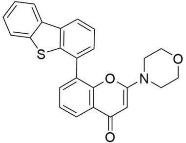 翻译:NU7441
