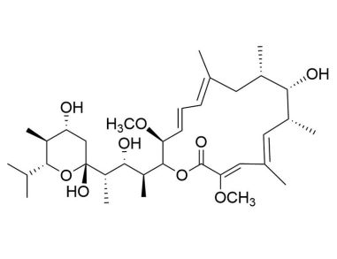 翻译:Bafilomycin A1