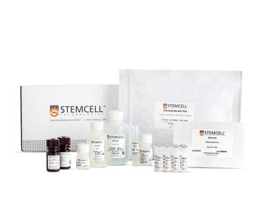 促红细胞生成素（EPO） ELISA Kit