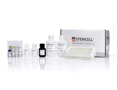 人IgE ELISA Kit