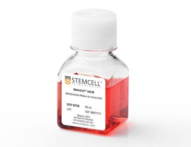 MethoCult™H4230