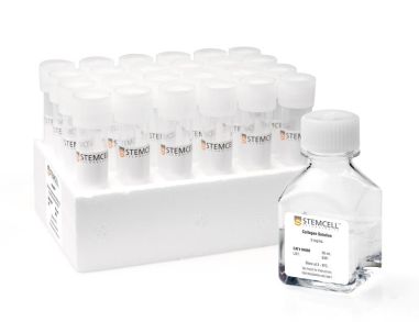 MegaCult™-C胶原蛋白和不含细胞因子的培养基