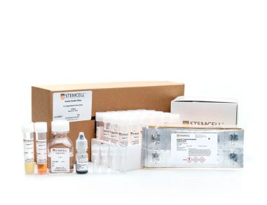 MegaCult™-C不含细胞因子完整试剂盒