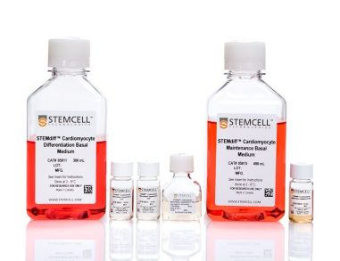 STEMdiff™心室心肌细胞分化试剂盒