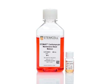 STEMdiff™心肌细胞维护试剂盒