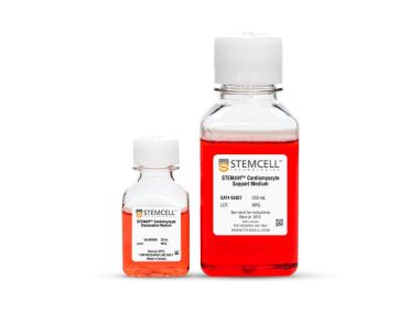 STEMdiff™心肌细胞分离试剂盒