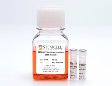 STEMdiff™权威内胚层检测试剂盒