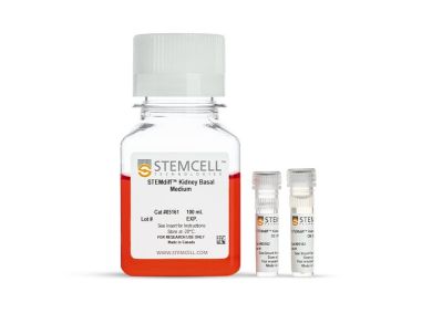 STEMdiff™肾脏类器官试剂盒