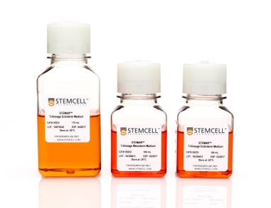 STEMdiff™三细胞分化试剂盒