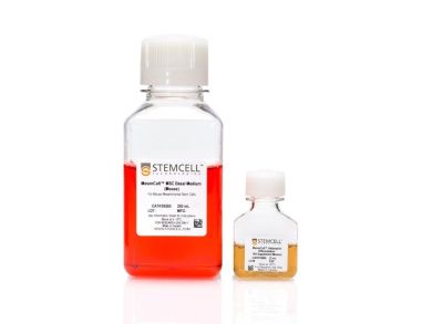 MesenCult™脂肪生成分化试剂盒（小鼠）
