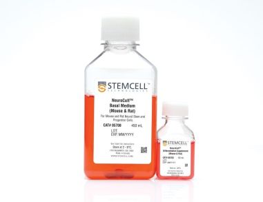 NeuroCult™分化试剂盒（小鼠和大鼠）