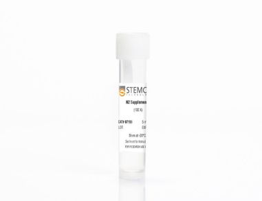 翻译:N2 Supplement-B