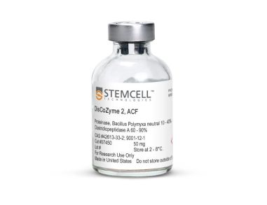 diszyme 2， ACF