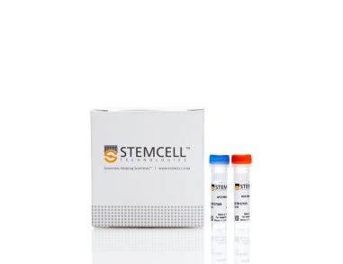 翻译:qPCR Master Mix Kit