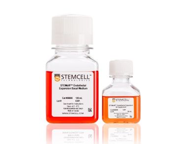 STEMdiff™内皮扩张培养基试剂盒