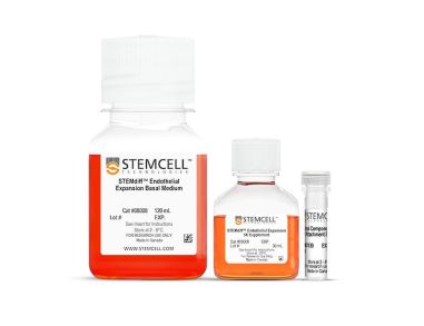 STEMdiff™内皮细胞扩增培养试剂盒